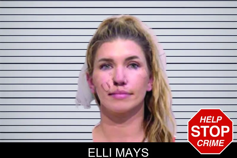 Elli Mays mugshot – Bartow County , Georgia Elli Mays mugshot