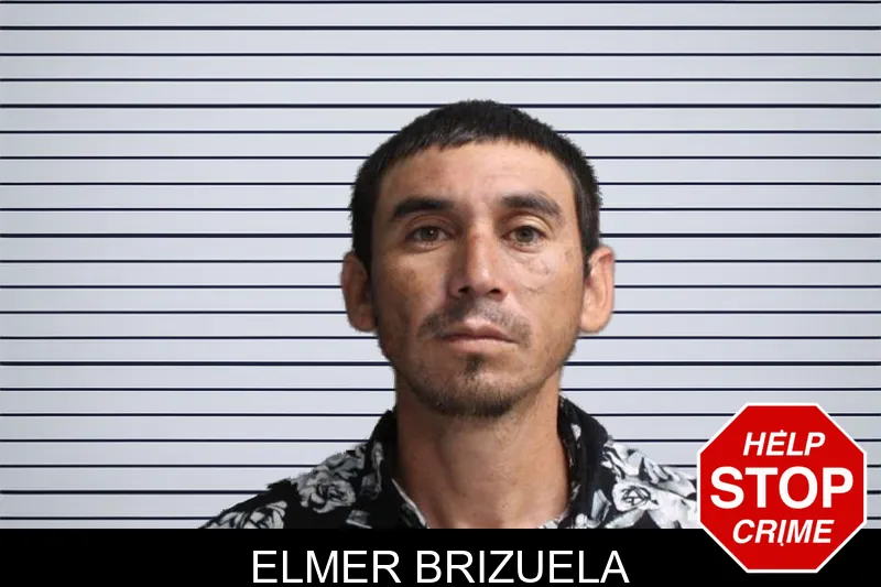 Elmer Brizuela mugshot