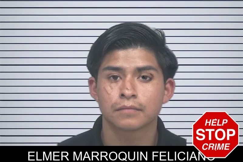 Elmer Marroquin Feliciano mugshot – Gwinnett County , Georgia Elmer Marroquin Feliciano mugshot