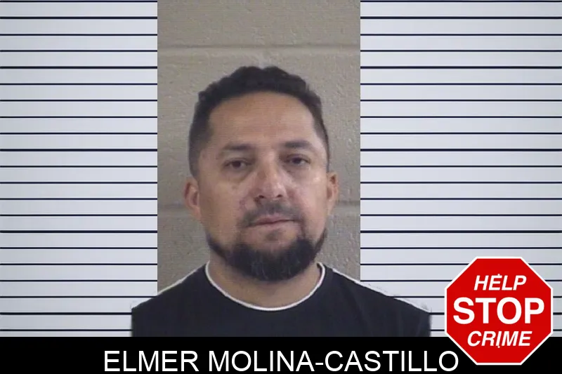 Elmer Molina-Castillo mugshot
