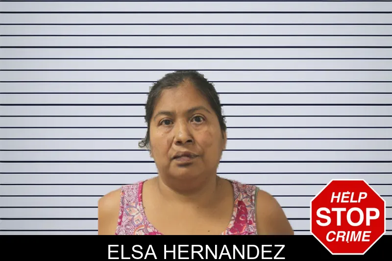Elsa Hernandez mugshot
