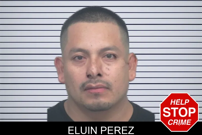 Eluin Perez mugshot