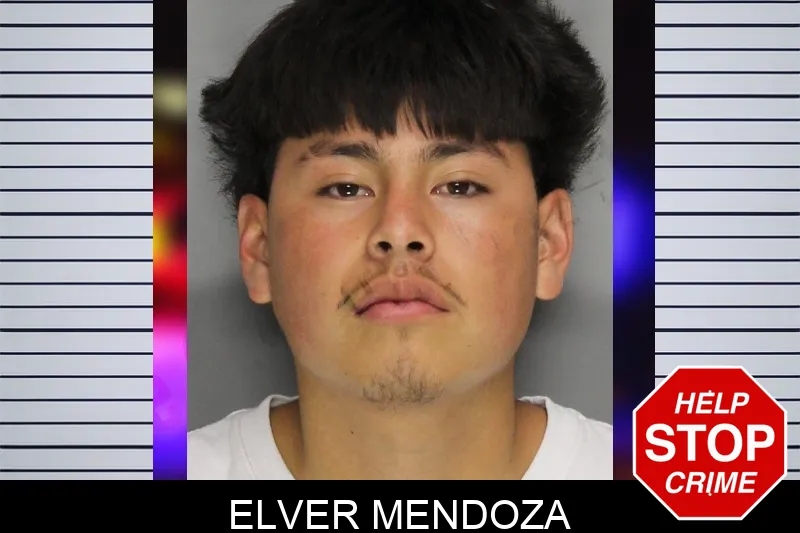 Elver Mendoza mugshot