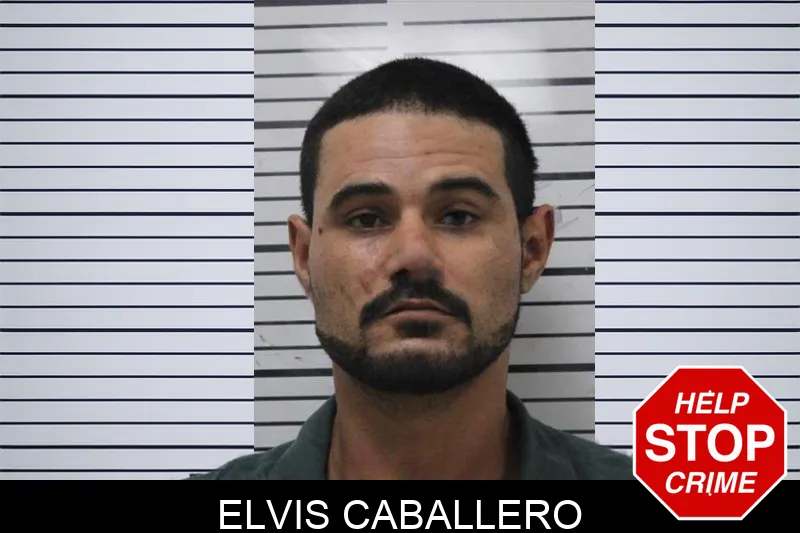 Elvis Caballero mugshot