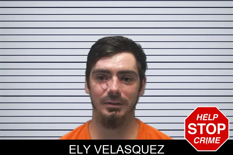 Ely Velasquez mugshot
