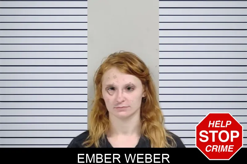 Ember Weber mugshot – Lowndes County , Georgia Ember Weber mugshot