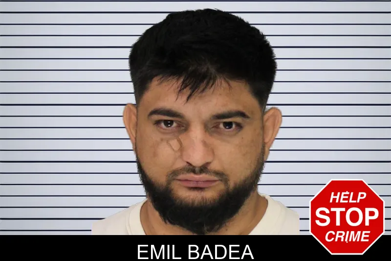 Emil Badea mugshot