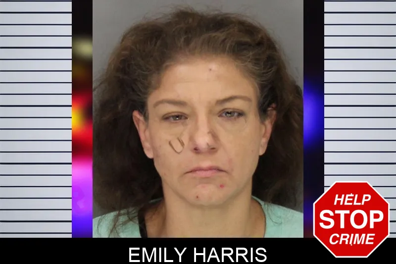 Emily Harris mugshot