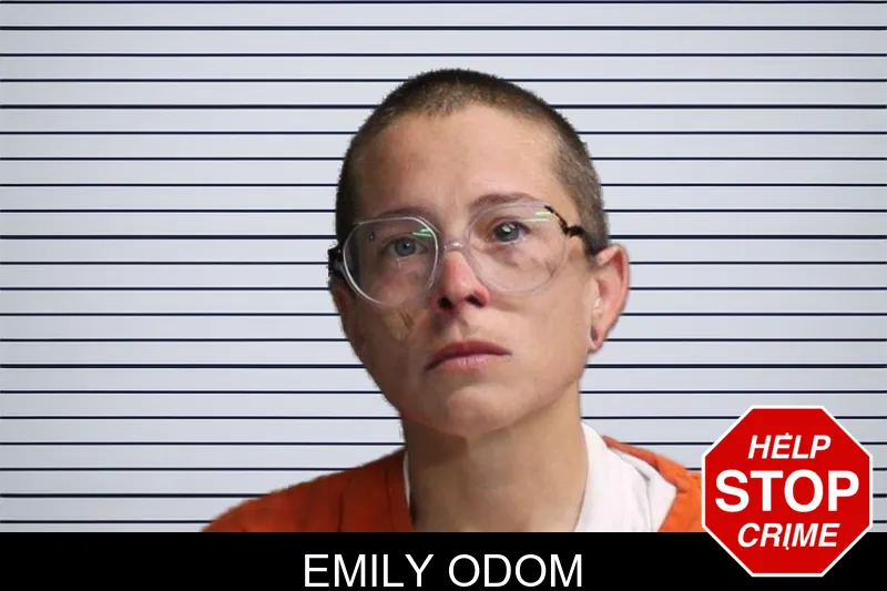 Emily Odom mugshot