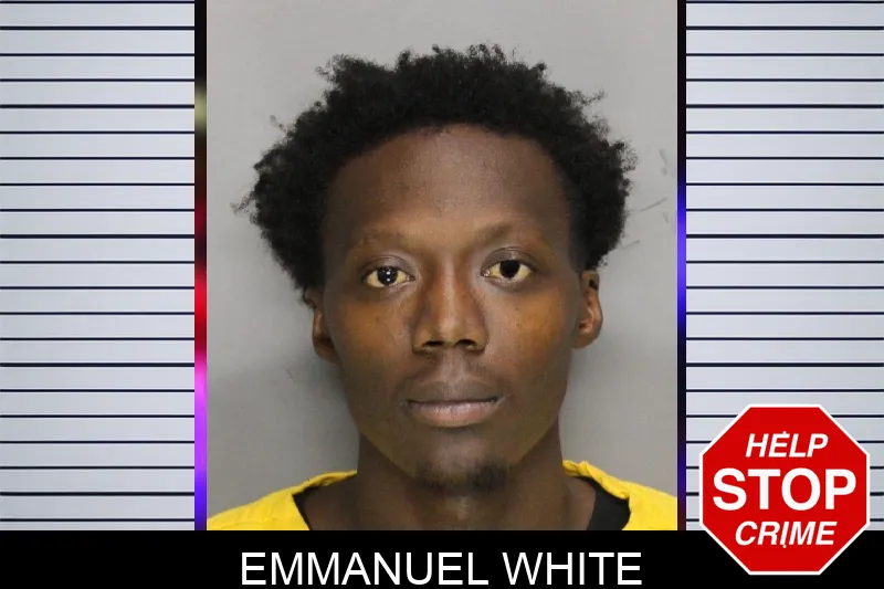 Emmanuel White mugshot – Cobb County , Georgia Emmanuel White mugshot