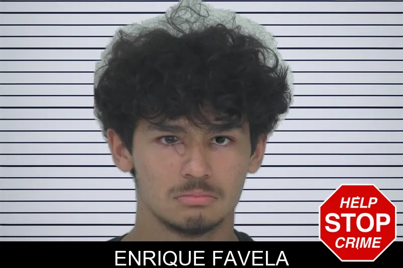 Enrique Favela mugshot