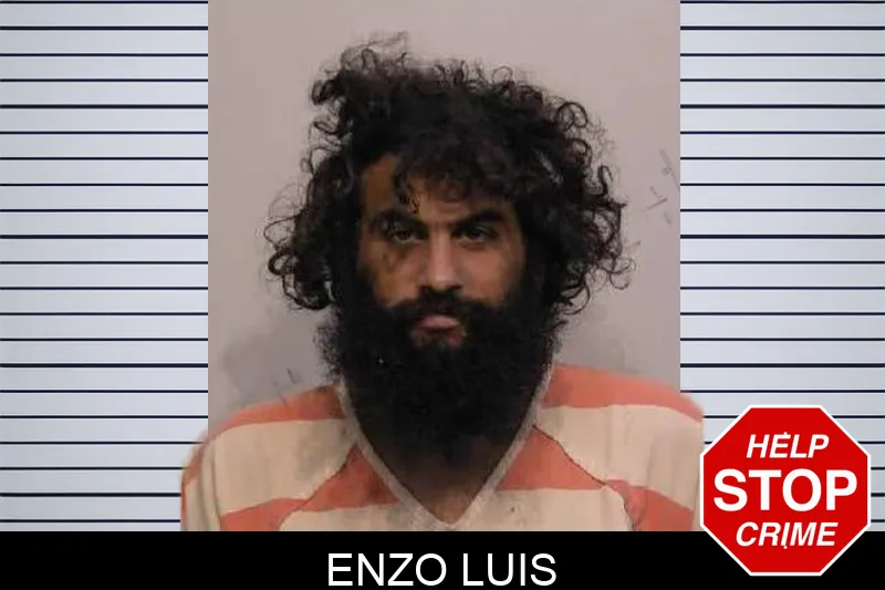 Enzo Luis mugshot