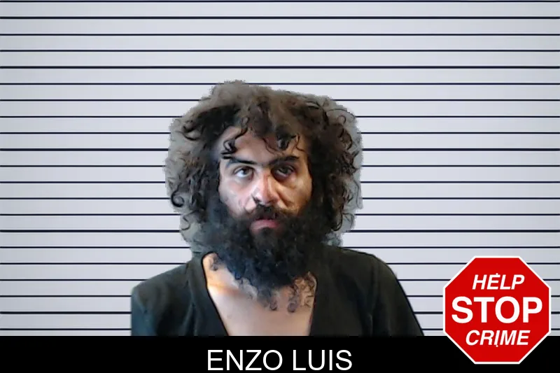 Enzo Luis mugshot