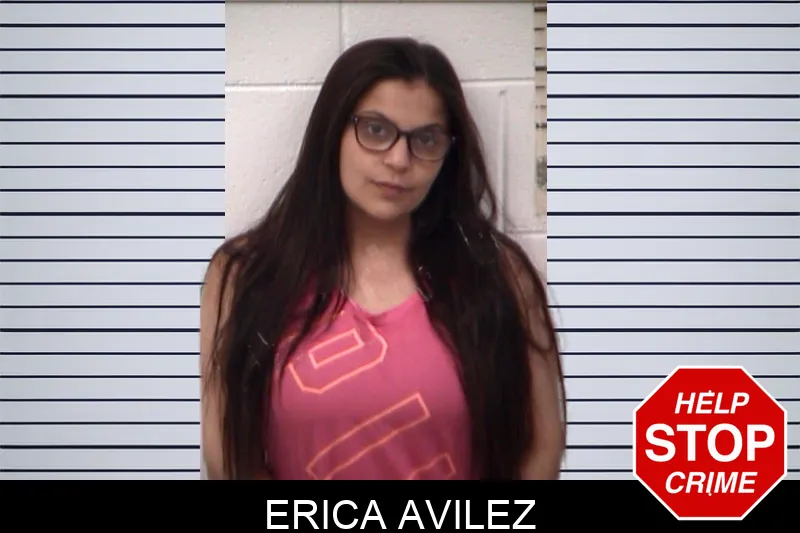 Erica Avilez mugshot