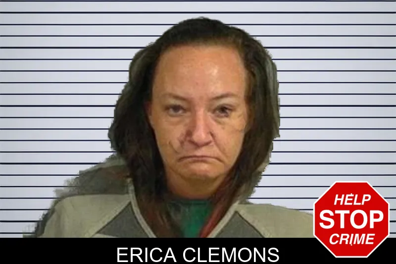 Erica Clemons mugshot