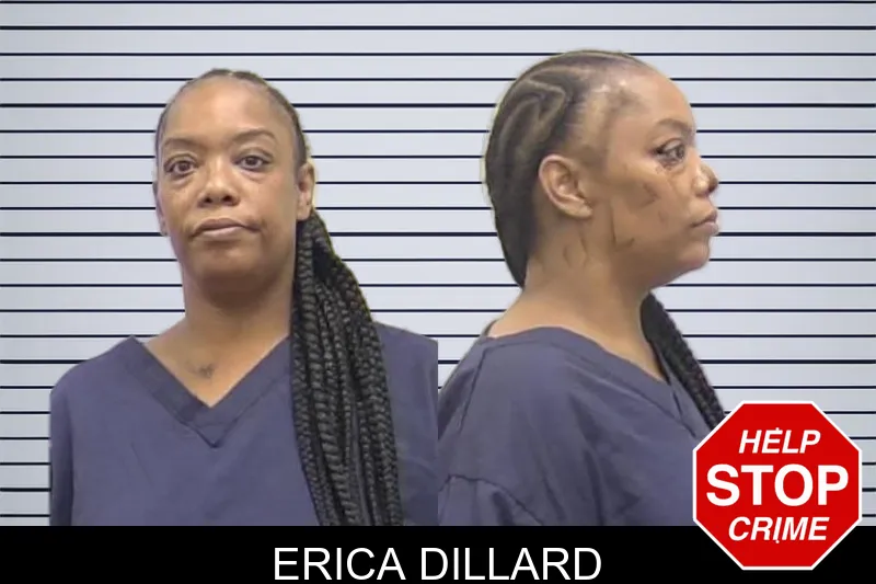 Erica Dillard mugshot