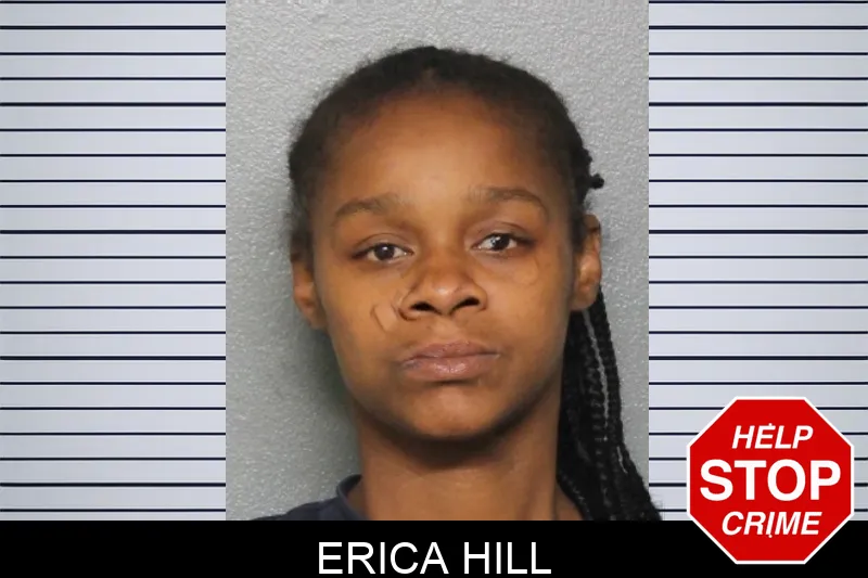 Erica Hill mugshot