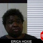 Erica Hoxie mugshot