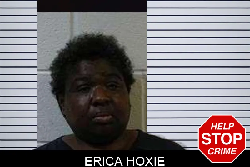 Erica Hoxie mugshot