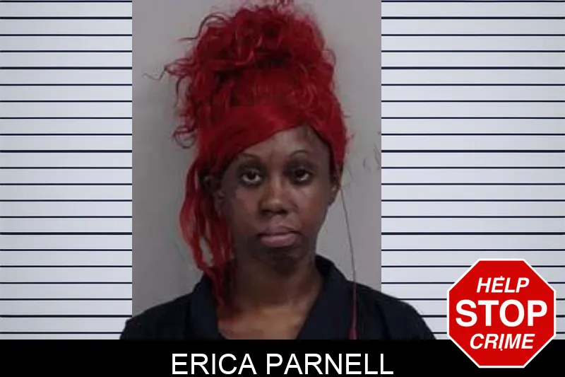 Erica Parnell mugshot