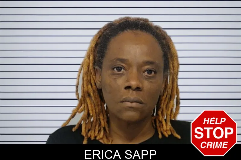 Erica Sapp mugshot