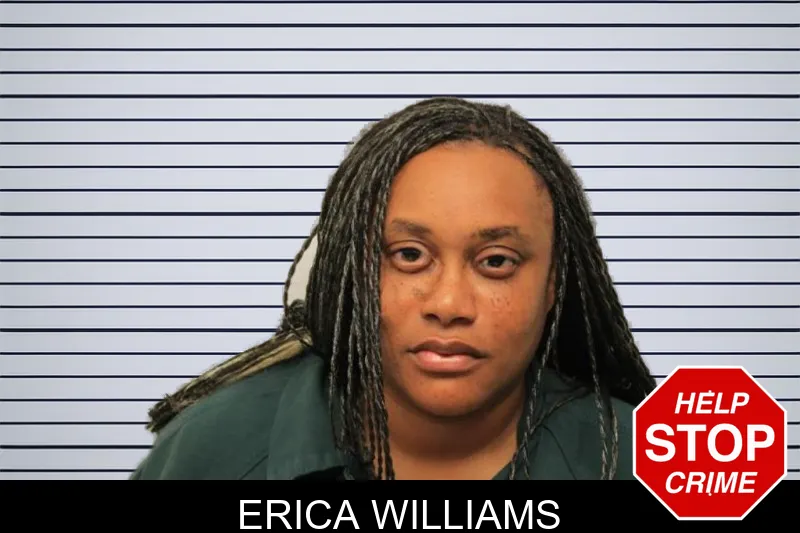 Erica Williams mugshot – Chatham County , Georgia Erica Williams mugshot