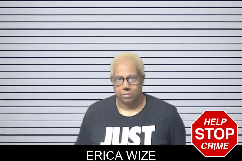 Erica Wize mugshot