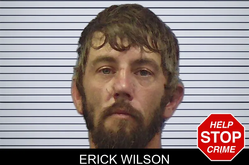 Erick Wilson mugshot
