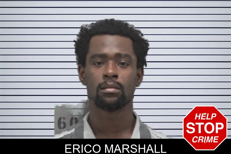 Erico Marshall mugshot