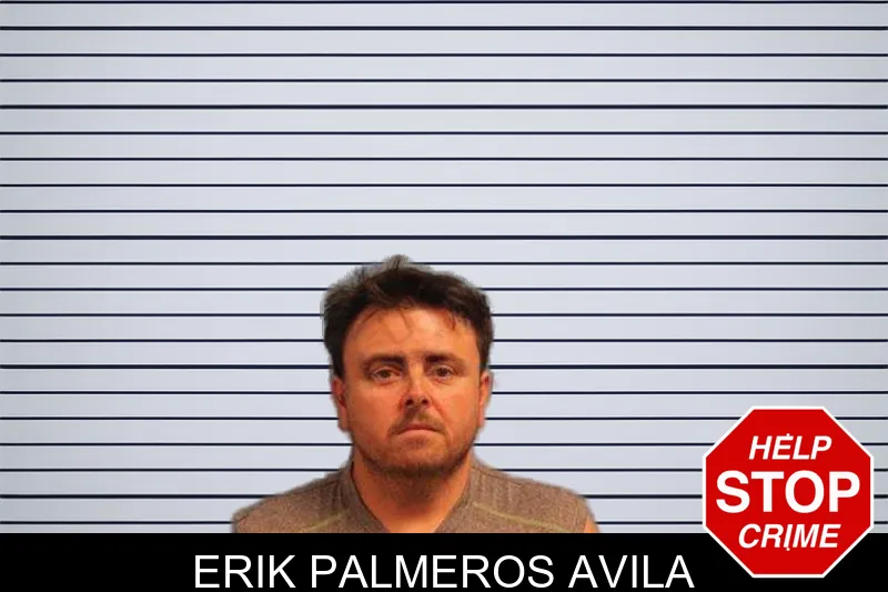 Erik Palmeros Avila mugshot