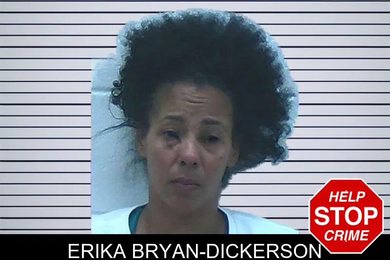 Erika Bryan-Dickerson mugshot
