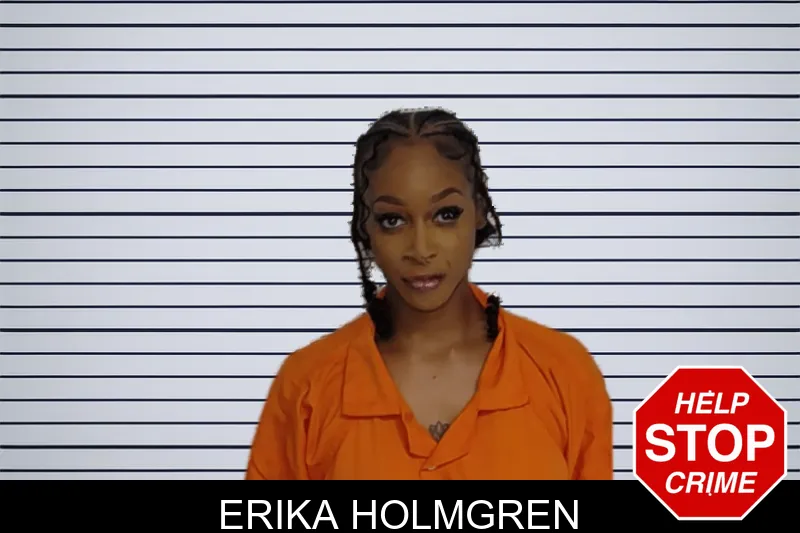 Erika Holmgren mugshot