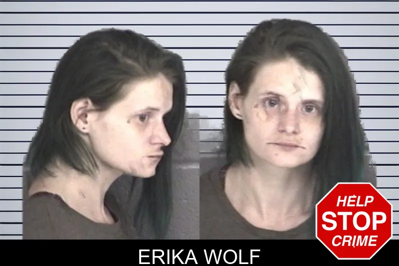 Erika Wolf mugshot