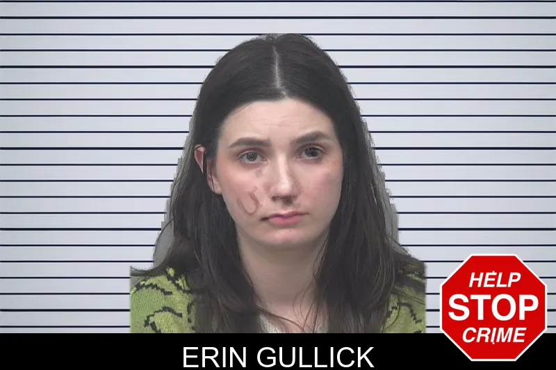 Erin Gullick mugshot