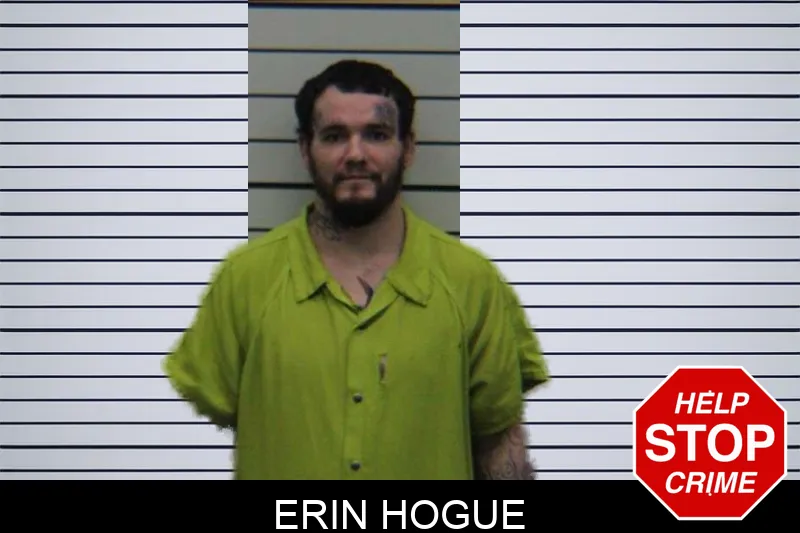 Erin Hogue mugshot