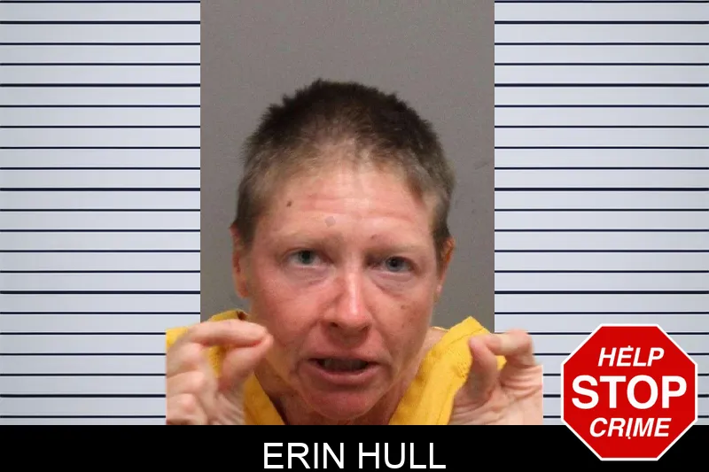 Erin Hull mugshot