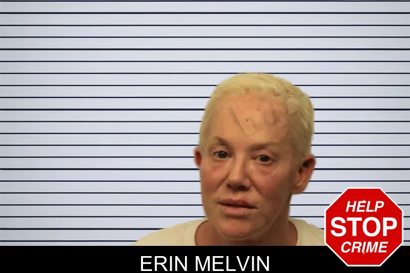 Erin Melvin mugshot