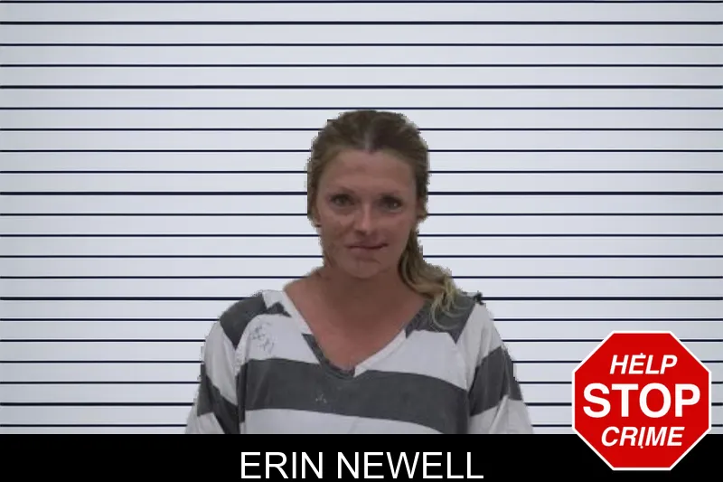 Erin Newell mugshot