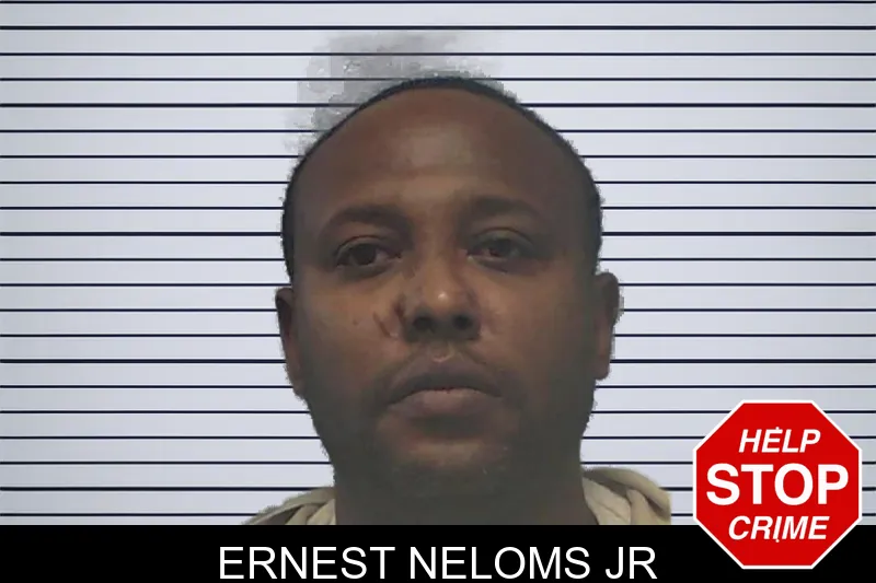 Ernest Neloms Jr mugshot