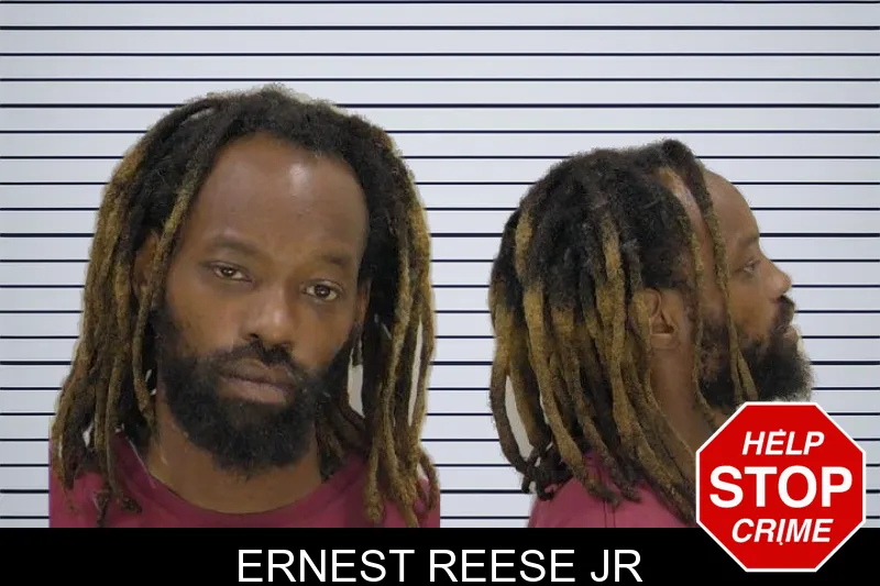 Ernest Reese Jr mugshot