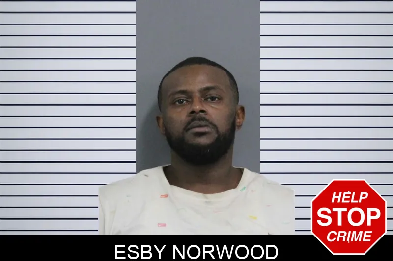 Esby Norwood mugshot