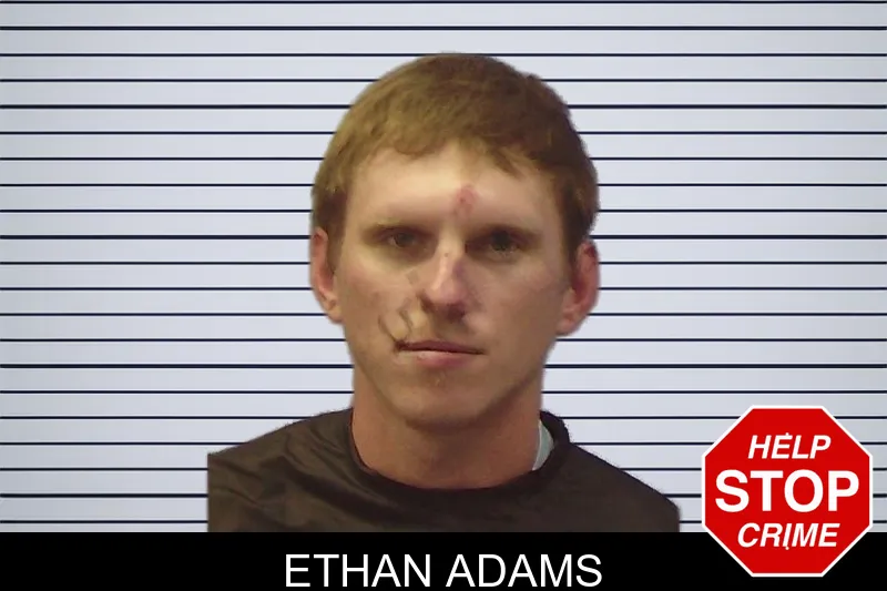Ethan Adams mugshot