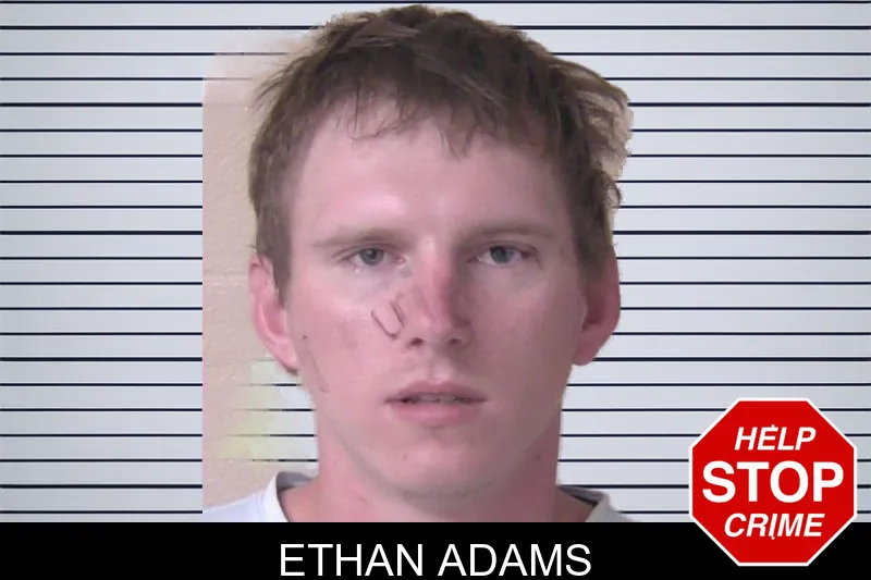Ethan Adams mugshot