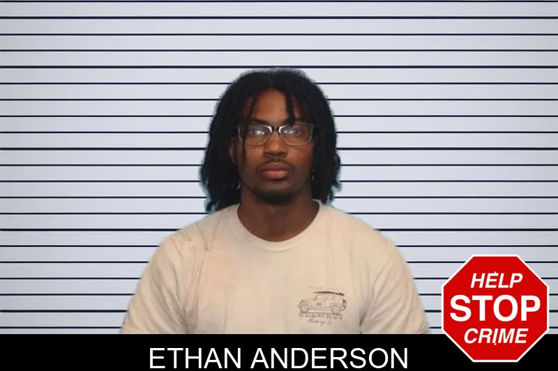 Ethan Anderson mugshot