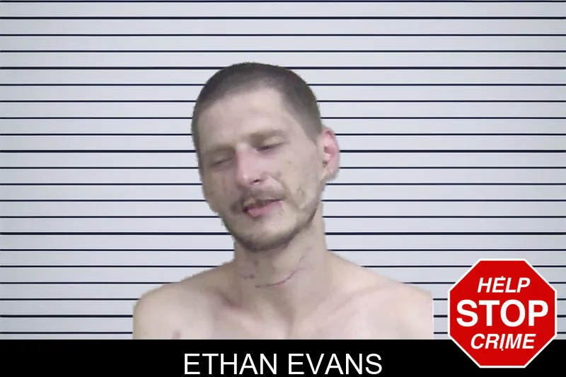 Ethan Evans mugshot