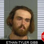 Ethan-Tyler Gibb mugshot