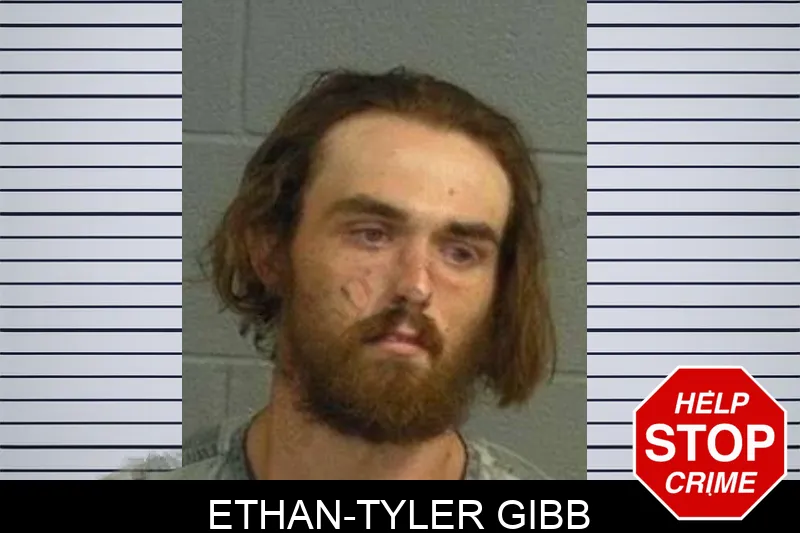 Ethan-Tyler Gibb mugshot