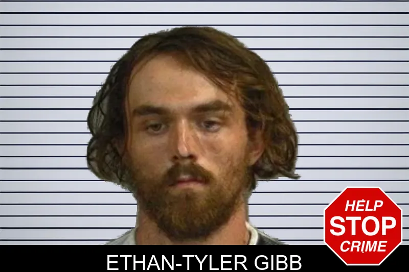 Ethan-Tyler Gibb mugshot
