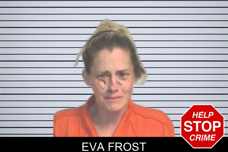 Eva Frost mugshot