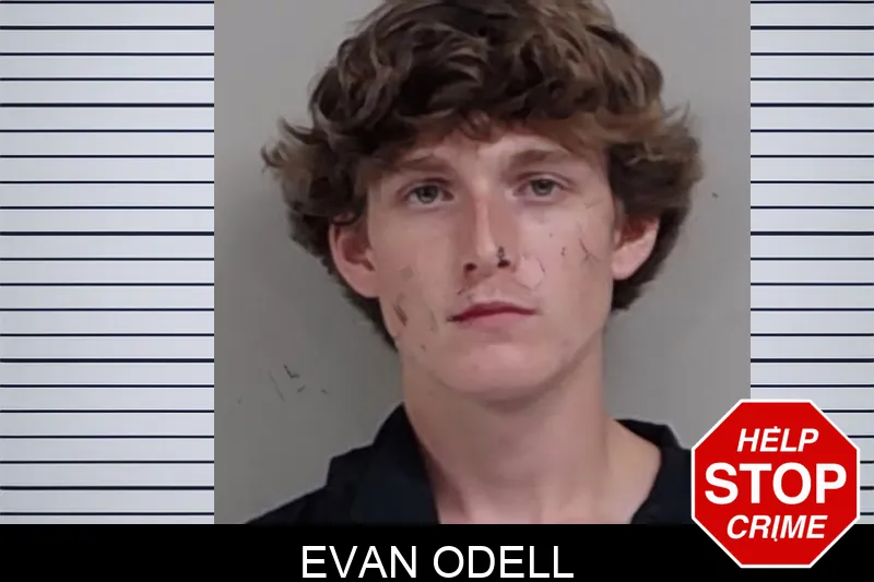 Evan Odell mugshot